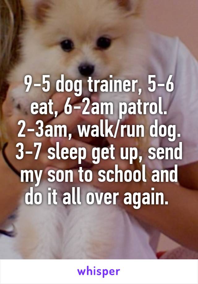 9-5 dog trainer, 5-6 eat, 6-2am patrol. 2-3am, walk/run dog. 3-7 sleep get up, send my son to school and do it all over again. 