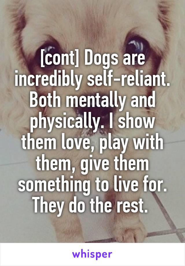 [cont] Dogs are incredibly self-reliant. Both mentally and physically. I show them love, play with them, give them something to live for. They do the rest. 