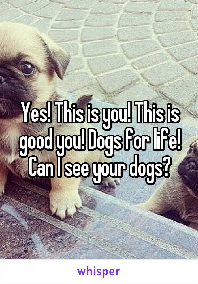 Yes! This is you! This is good you! Dogs for life! Can I see your dogs?