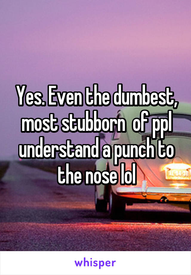 Yes. Even the dumbest, most stubborn  of ppl understand a punch to the nose lol