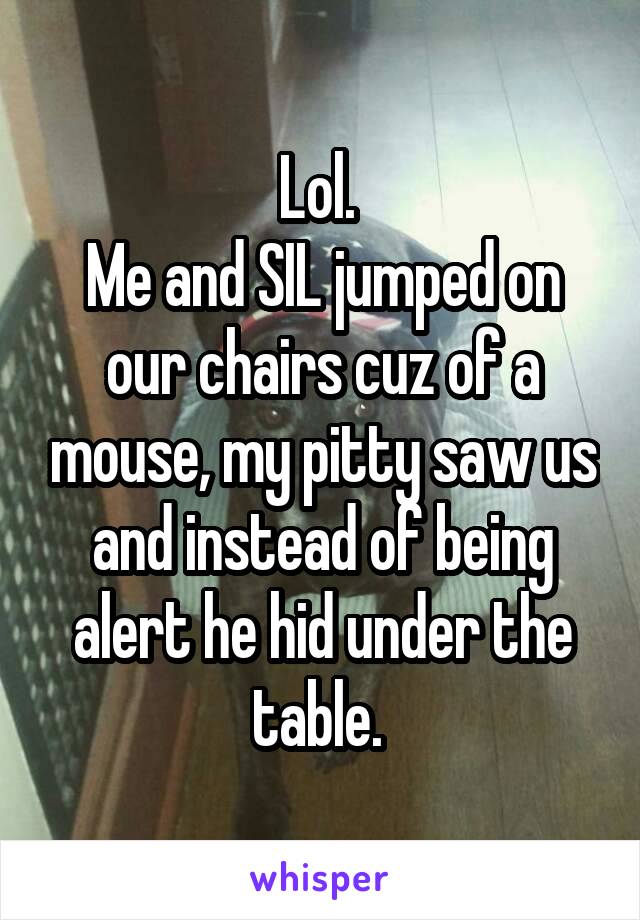 Lol. 
Me and SIL jumped on our chairs cuz of a mouse, my pitty saw us and instead of being alert he hid under the table. 