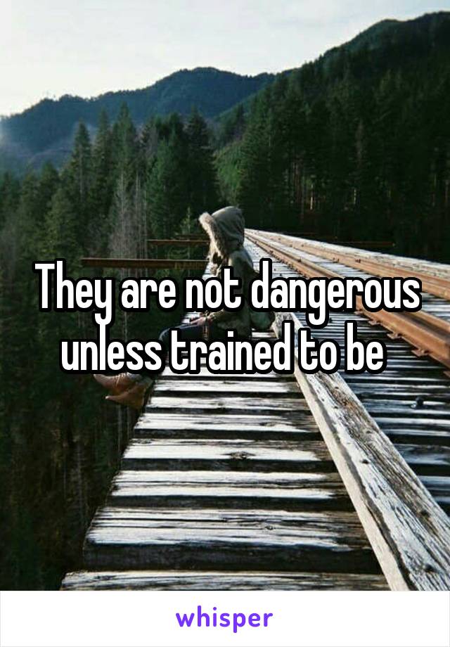 They are not dangerous unless trained to be 