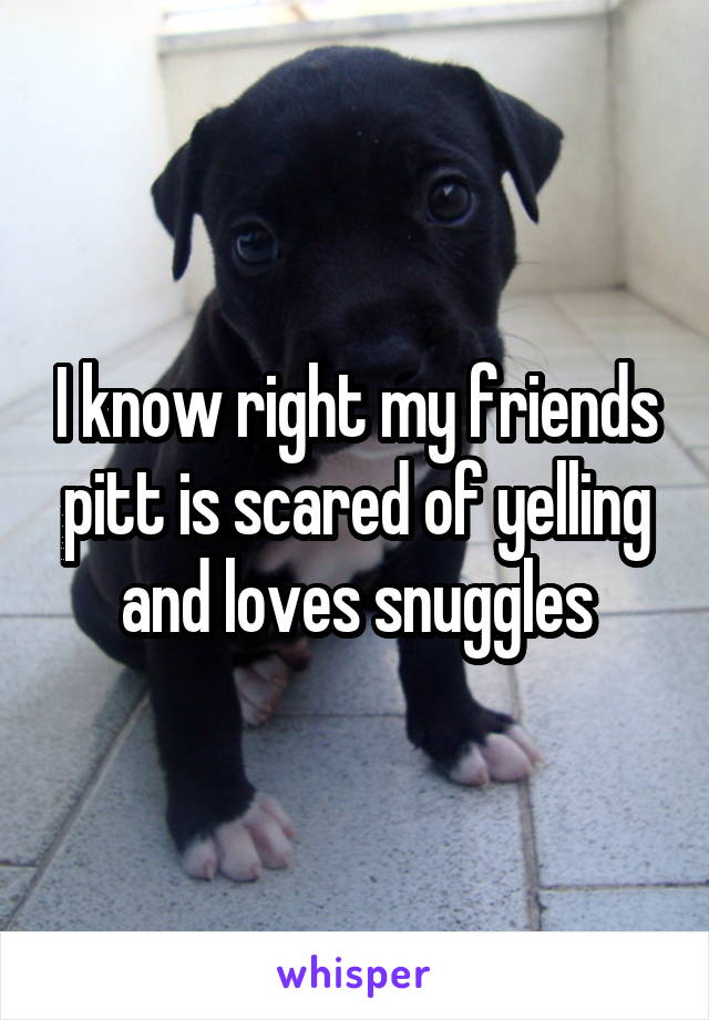 I know right my friends pitt is scared of yelling and loves snuggles