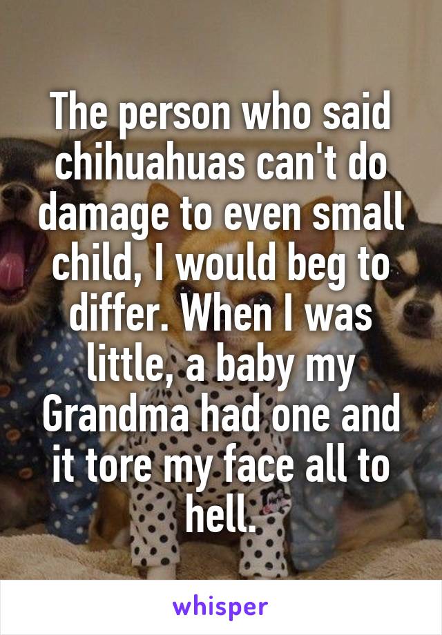 The person who said chihuahuas can't do damage to even small child, I would beg to differ. When I was little, a baby my Grandma had one and it tore my face all to hell.