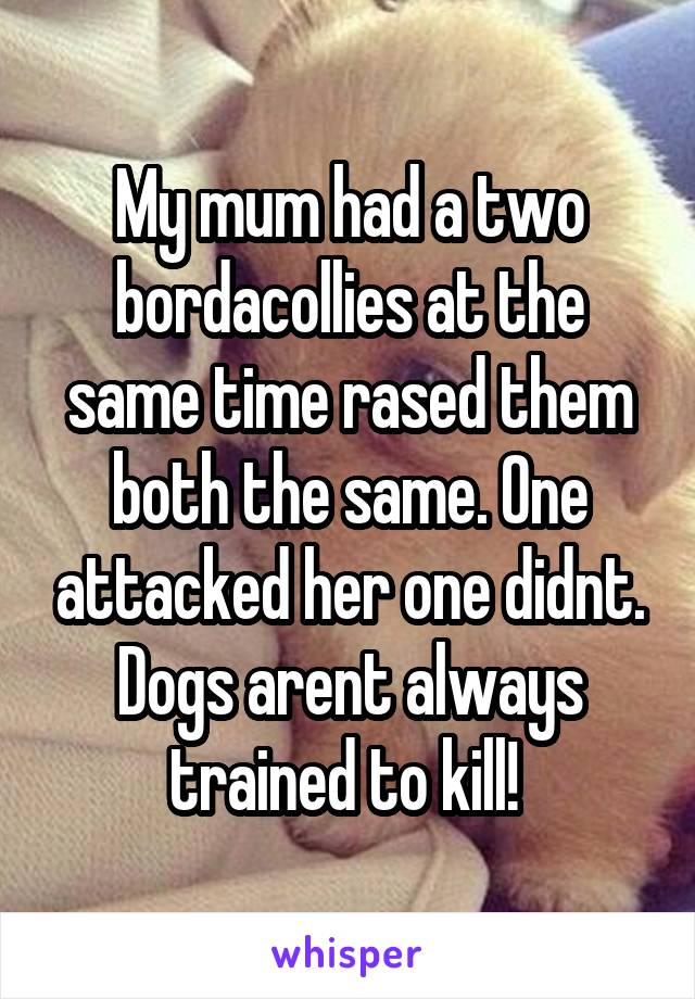 My mum had a two bordacollies at the same time rased them both the same. One attacked her one didnt. Dogs arent always trained to kill! 