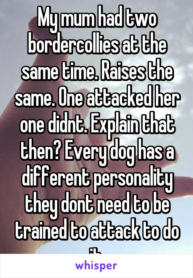 My mum had two bordercollies at the same time. Raises the same. One attacked her one didnt. Explain that then? Every dog has a different personality they dont need to be trained to attack to do it 