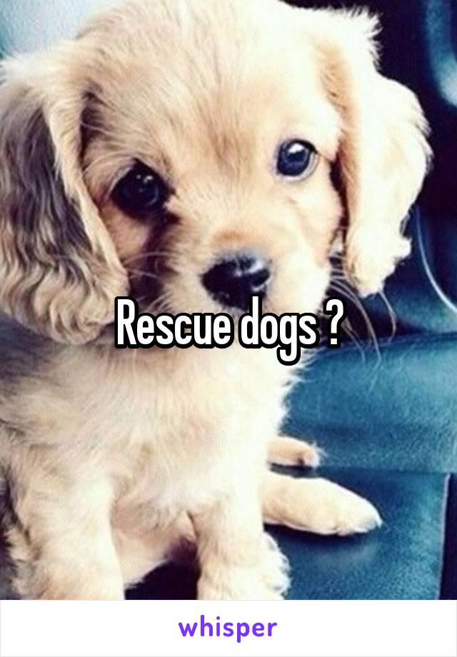 Rescue dogs ?