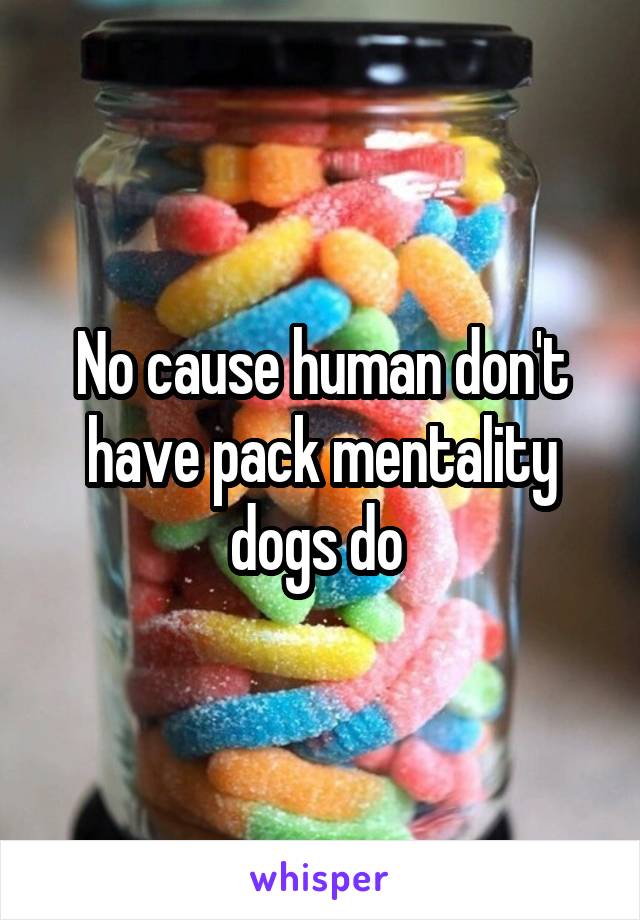 No cause human don't have pack mentality dogs do 