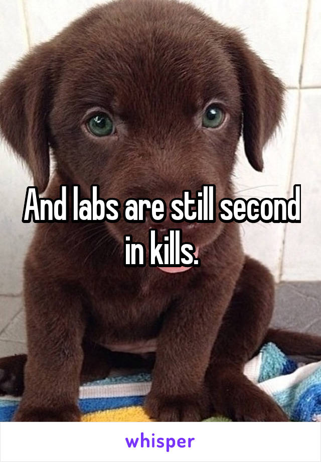 And labs are still second in kills.