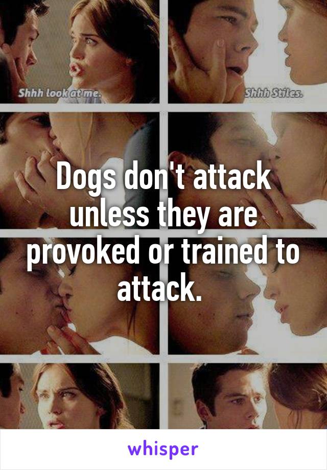 Dogs don't attack unless they are provoked or trained to attack. 