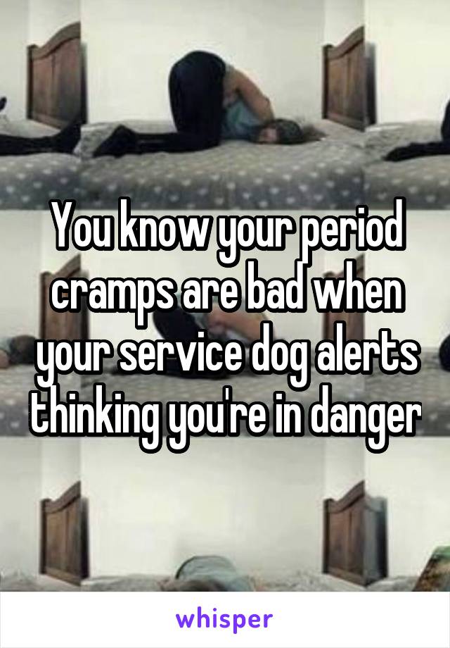You know your period cramps are bad when your service dog alerts thinking you're in danger