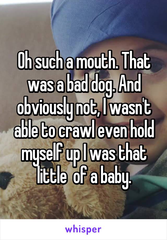 Oh such a mouth. That was a bad dog. And obviously not, I wasn't able to crawl even hold myself up I was that little  of a baby.