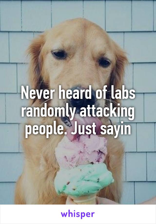 Never heard of labs randomly attacking people. Just sayin