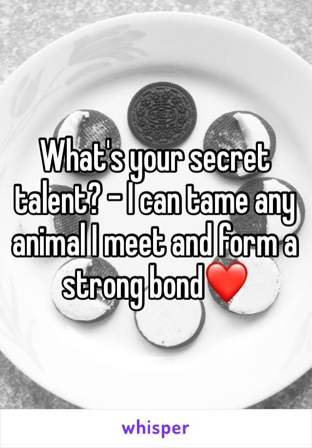 What's your secret talent? - I can tame any animal I meet and form a strong bond❤️