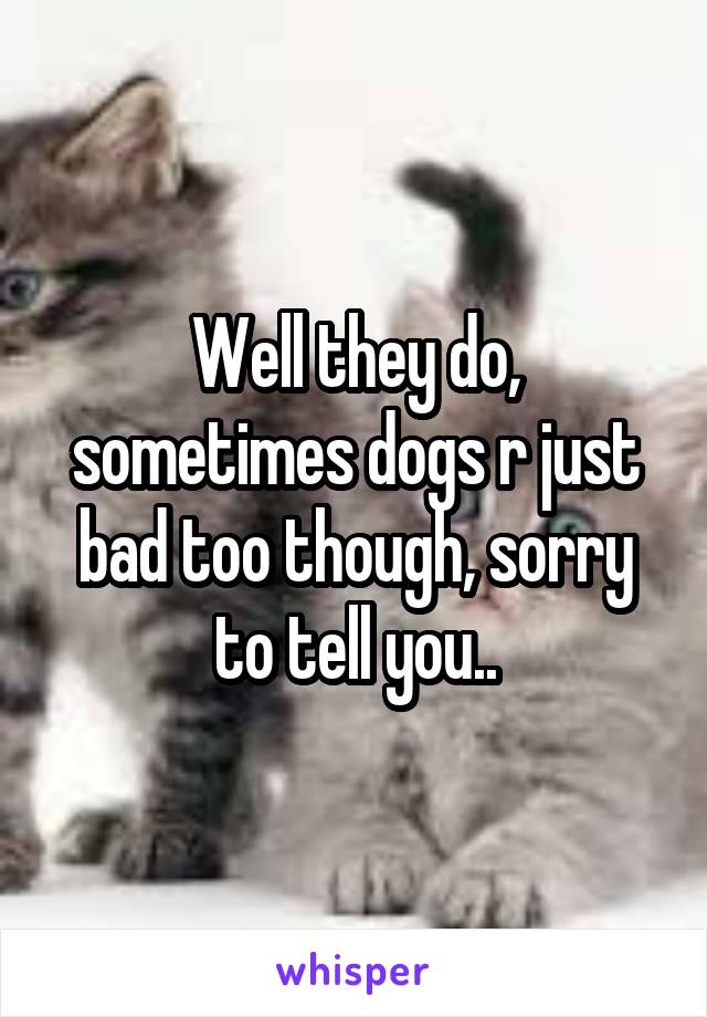 Well they do, sometimes dogs r just bad too though, sorry to tell you..