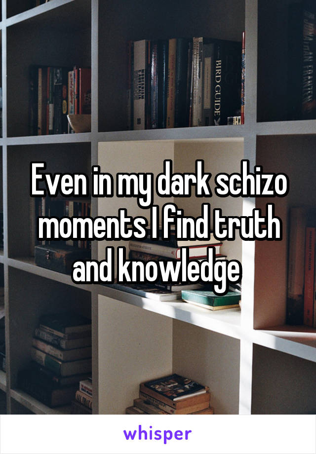 Even in my dark schizo moments I find truth and knowledge 