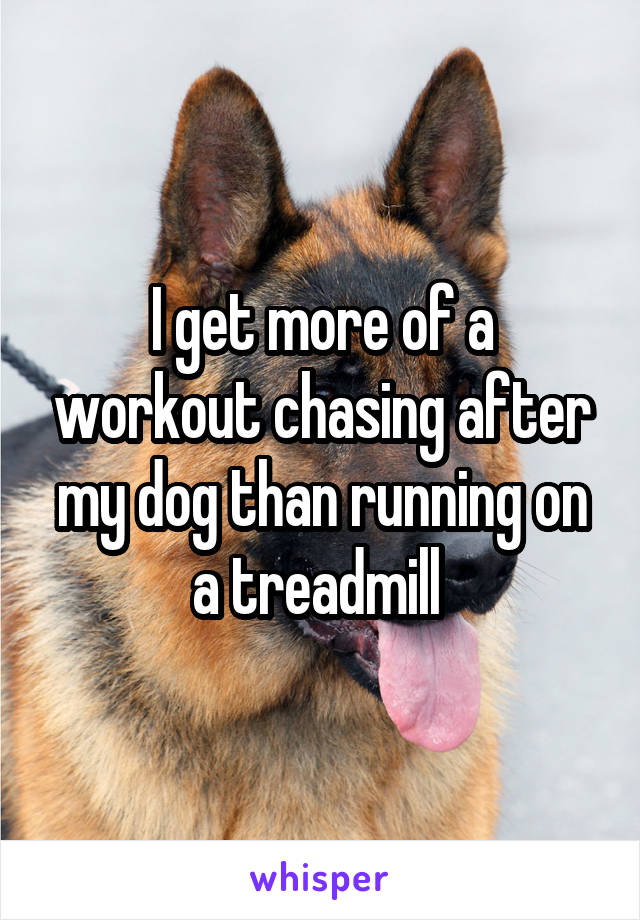 I get more of a workout chasing after my dog than running on a treadmill 