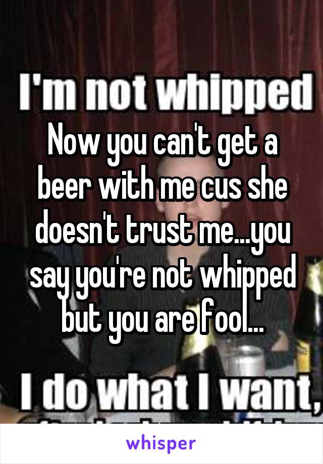 Now you can't get a beer with me cus she doesn't trust me...you say you're not whipped but you are fool...