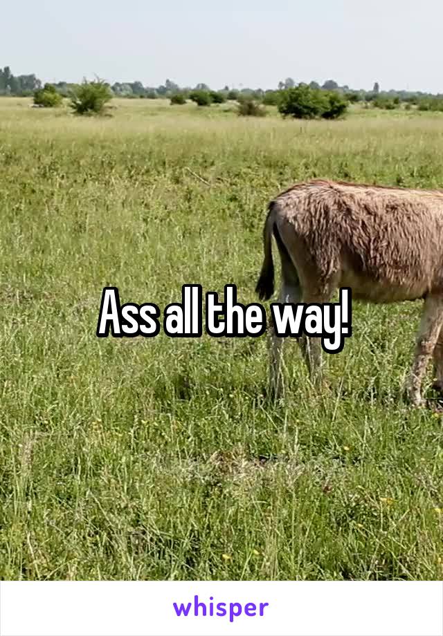 Ass all the way!