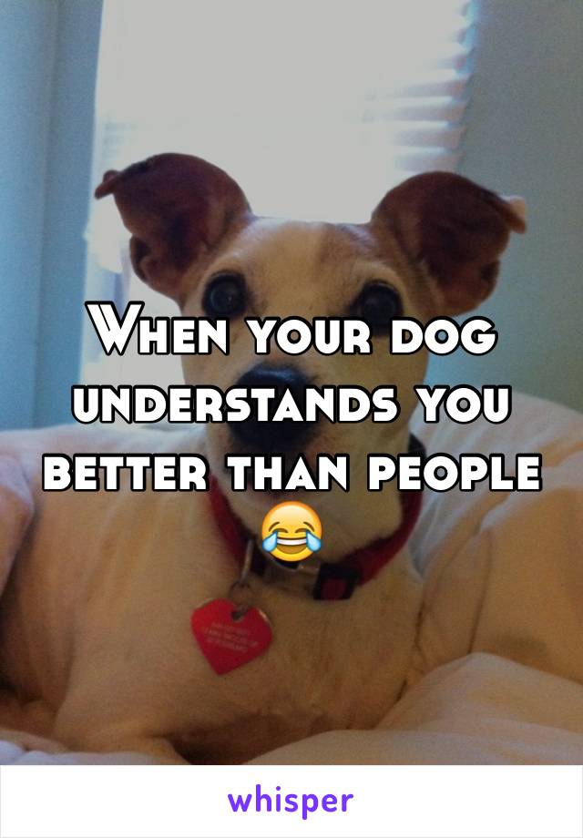 When your dog understands you better than people 😂