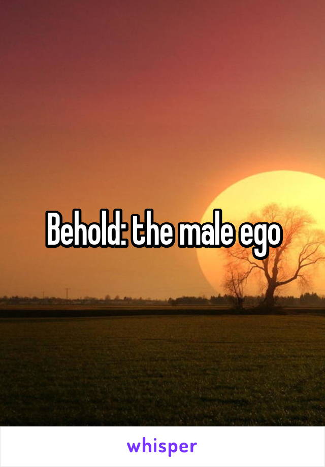 Behold: the male ego