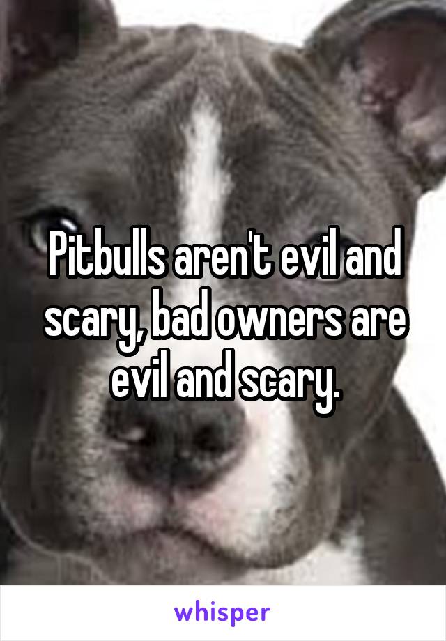 Pitbulls aren't evil and scary, bad owners are evil and scary.