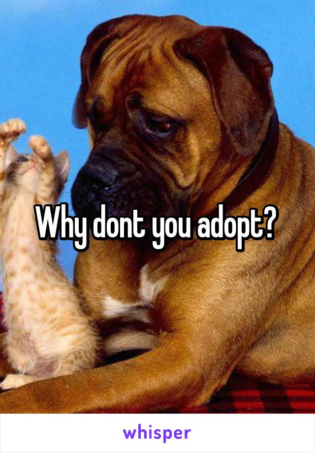 Why dont you adopt? 