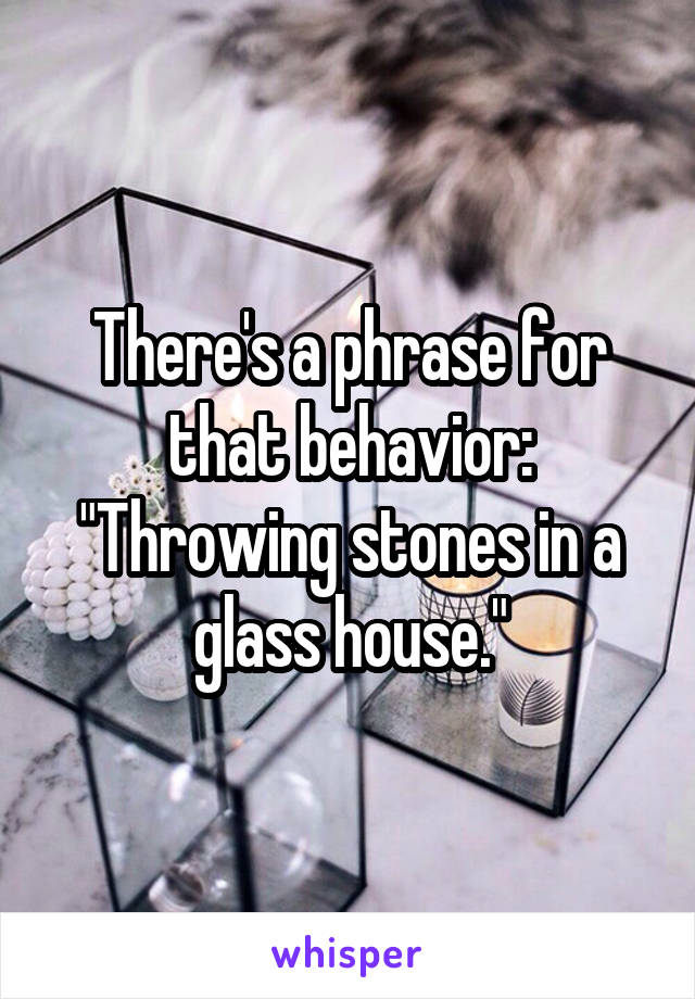 There's a phrase for that behavior: "Throwing stones in a glass house."