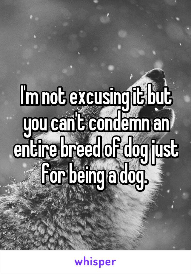 I'm not excusing it but you can't condemn an entire breed of dog just for being a dog. 