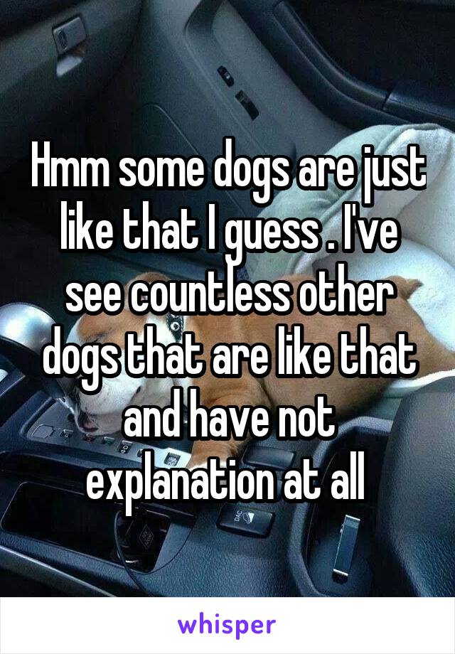 Hmm some dogs are just like that I guess . I've see countless other dogs that are like that and have not explanation at all 