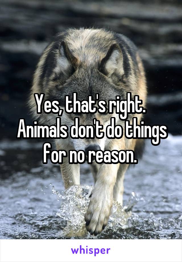 Yes, that's right. 
Animals don't do things for no reason. 