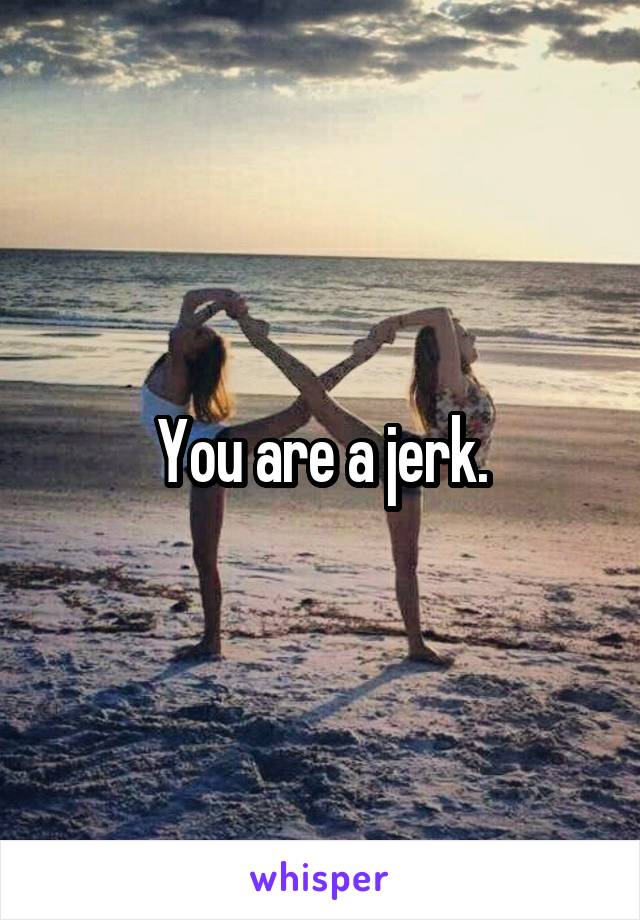 You are a jerk.