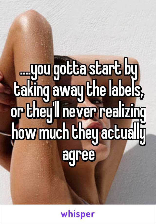....you gotta start by taking away the labels, or they'll never realizing how much they actually agree