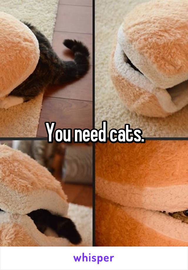 You need cats.