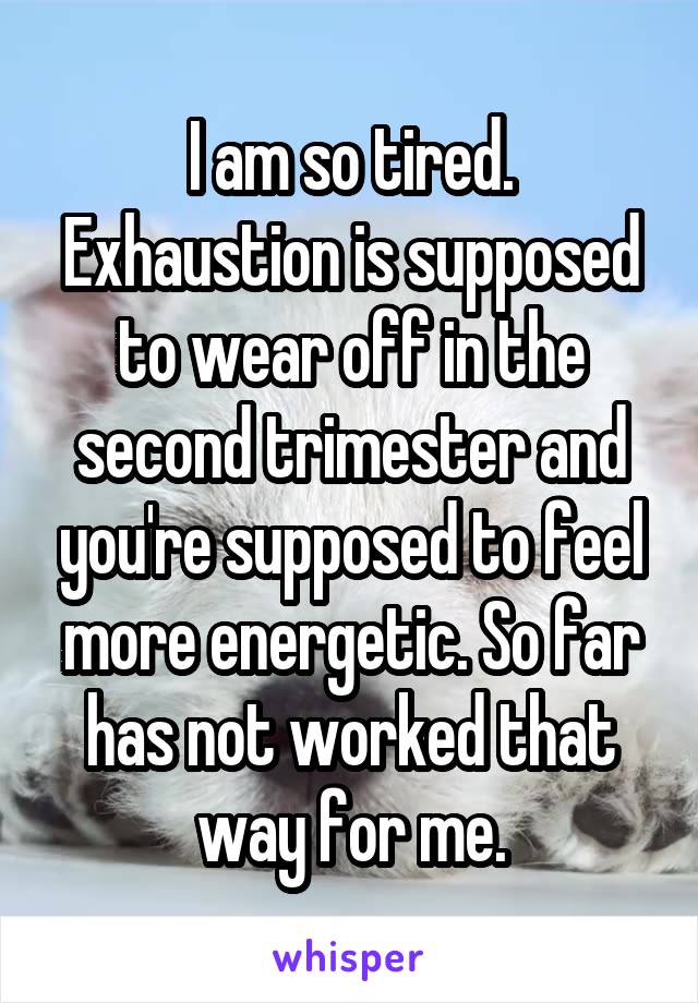 I am so tired. Exhaustion is supposed to wear off in the second trimester and you're supposed to feel more energetic. So far has not worked that way for me.