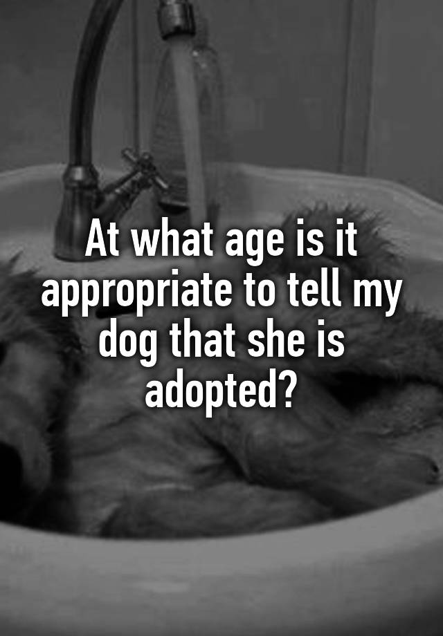 at-what-age-is-it-appropriate-to-tell-my-dog-that-she-is-adopted