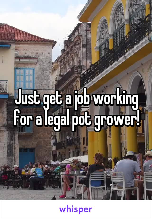 Just get a job working for a legal pot grower!