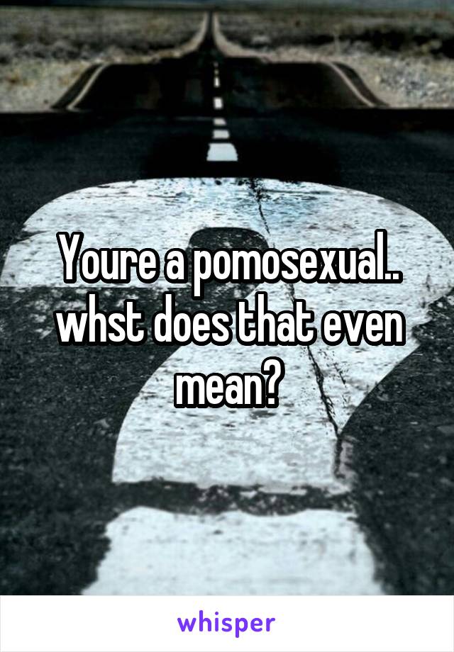 Youre a pomosexual.. whst does that even mean?