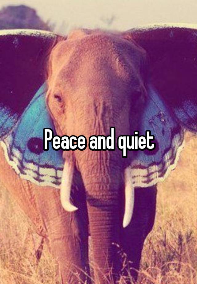 peace-and-quiet