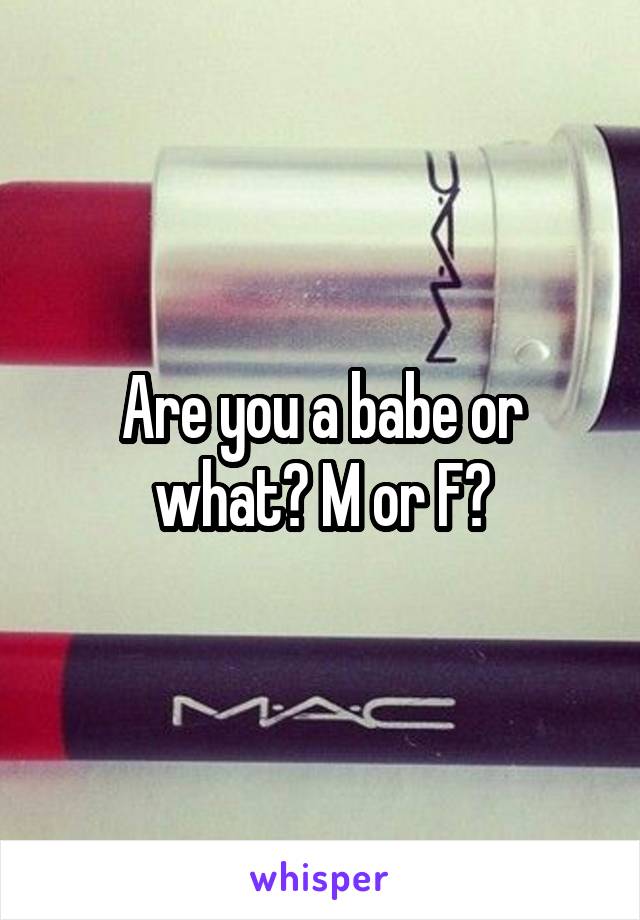 Are you a babe or what? M or F?