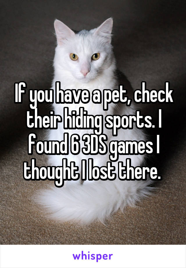 If you have a pet, check their hiding sports. I found 6 3DS games I thought I lost there. 