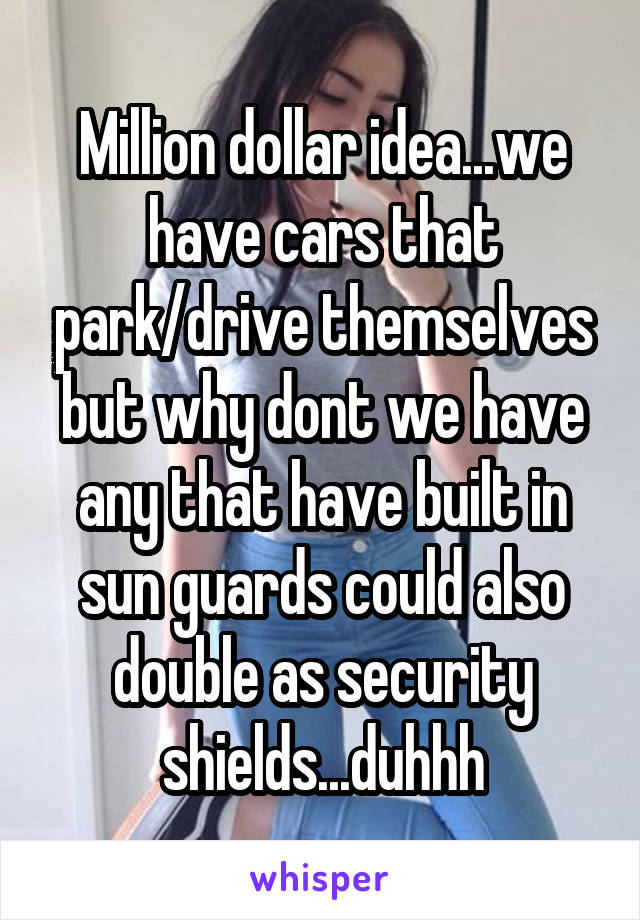 Million dollar idea...we have cars that park/drive themselves but why dont we have any that have built in sun guards could also double as security shields...duhhh