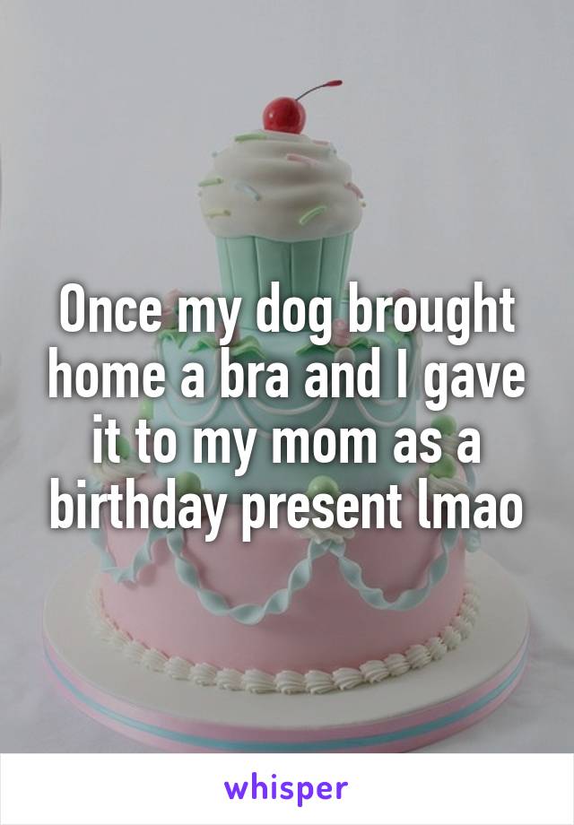 Once my dog brought home a bra and I gave it to my mom as a birthday present lmao