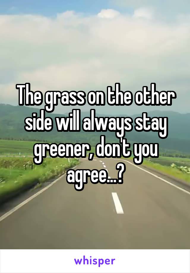 The grass on the other side will always stay greener, don't you agree...?