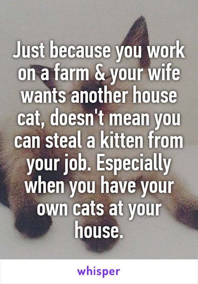 Just because you work on a farm & your wife wants another house cat, doesn't mean you can steal a kitten from your job. Especially when you have your own cats at your house.