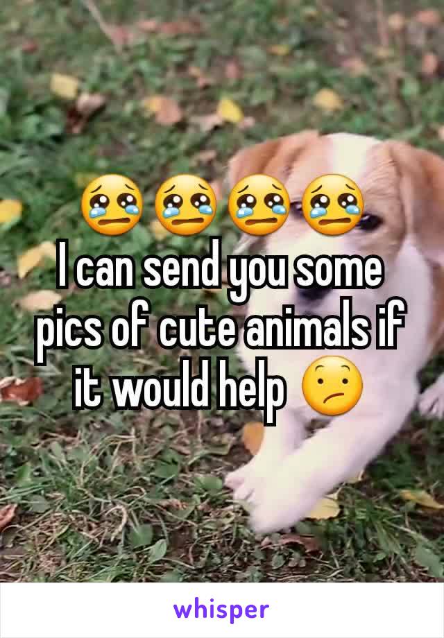 😢😢😢😢
I can send you some pics of cute animals if it would help 😕