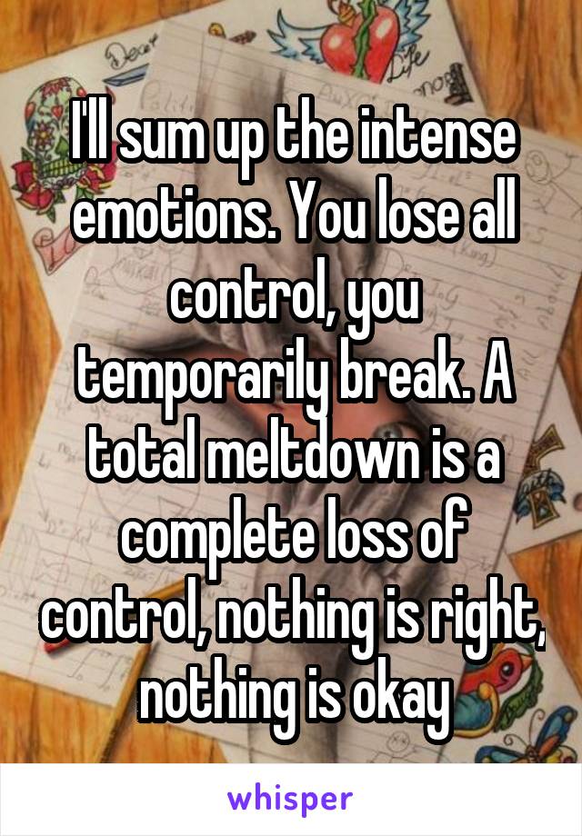 

I'll sum up the intense emotions. You lose all control, you temporarily break. A total meltdown is a complete loss of control, nothing is right, nothing is okay