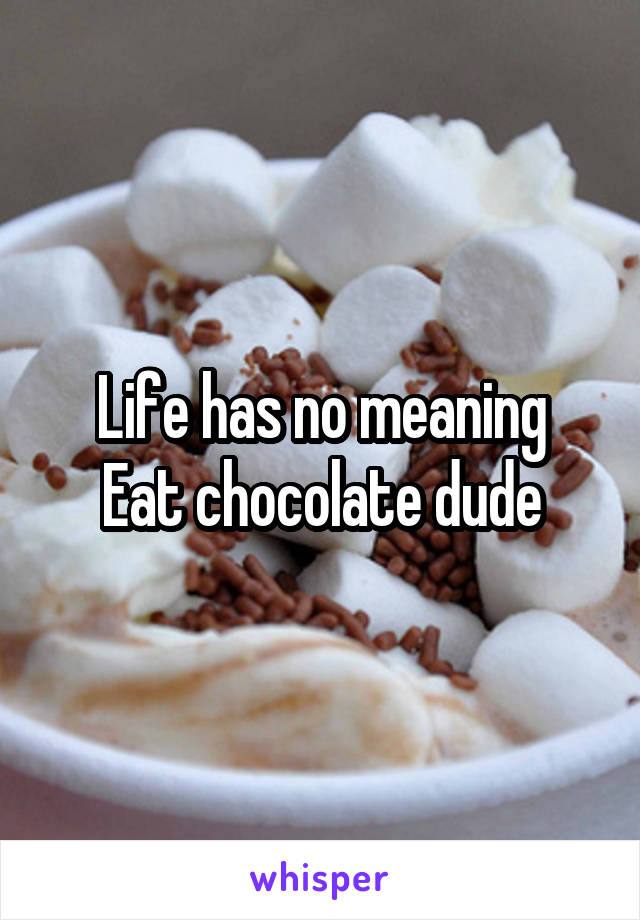 Life has no meaning
Eat chocolate dude