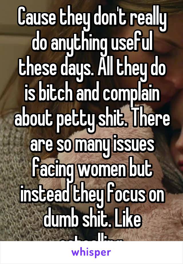 Cause they don't really do anything useful these days. All they do is bitch and complain about petty shit. There are so many issues facing women but instead they focus on dumb shit. Like catcalling.