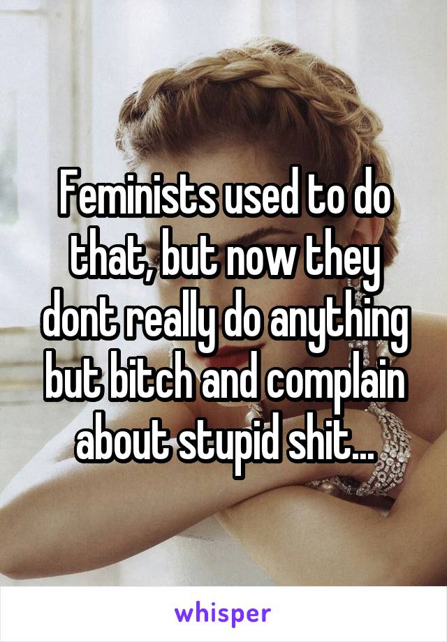 Feminists used to do that, but now they dont really do anything but bitch and complain about stupid shit...